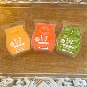 Scentsy Wax Melts